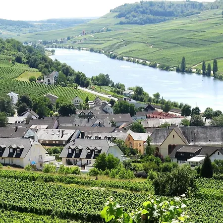 בית הארחה Weingut Heinz Dostert ניטל